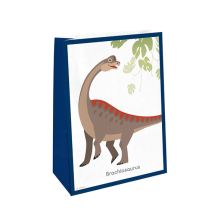 Paper Bags With Stickers Happy Dinosaur